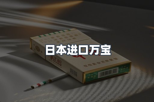 日本进口万宝